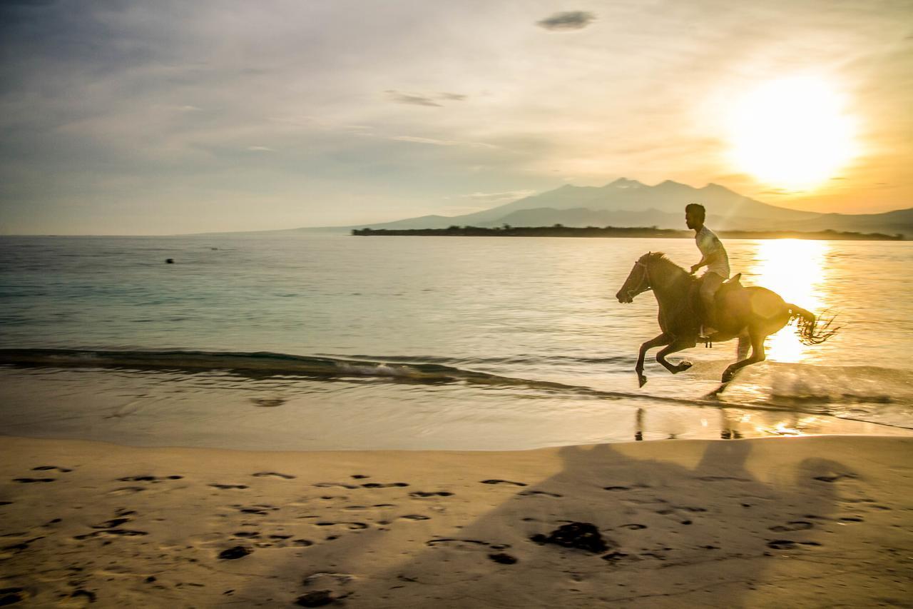 Villa Pulau Cinta Boutique Suites Gili Meno Exteriör bild